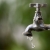 Deputado propõe PL para obrigar Sabesp a divulgar qualidade da água em SP